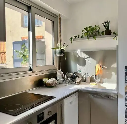 Appartement Beau 2 Pieces,terrasse, Parking Centre *