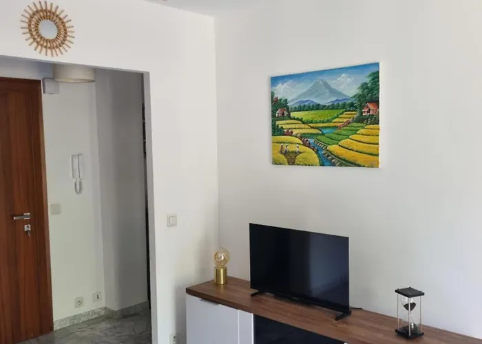 Beau 2 Pieces,terrasse, Parking Centre *