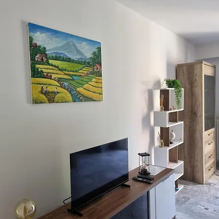 Apartment Beau 2 Pieces,terrasse, Parking Centre Menton