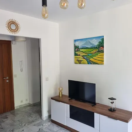 Beau 2 Pieces,terrasse, Parking Centre *