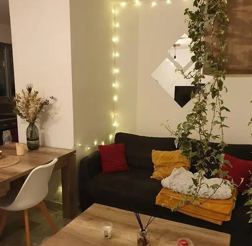 Beau 2 Pieces,terrasse, Parking Centre Lejlighed Menton